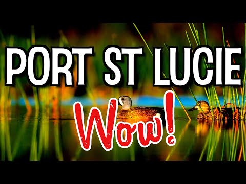 Exploring the Intriguing Details of Port St. Lucie: A Fascinating Fun Fact