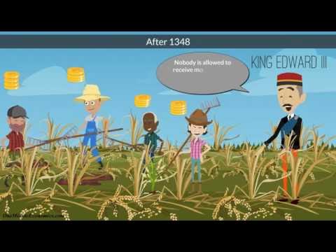 Understanding Minimum Wage Legislations: A Comprehensive Guide for Individuals