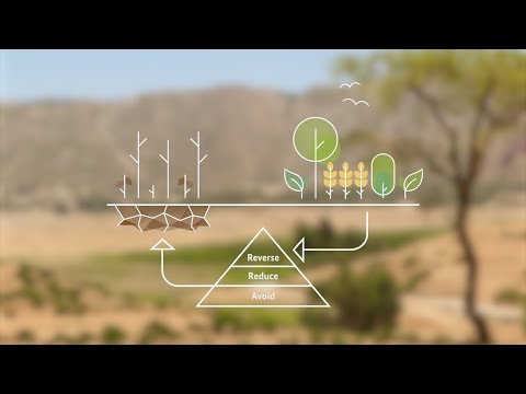 Understanding the Causes of Land Degradation: A Comprehensive Analysis of Two Key Factors