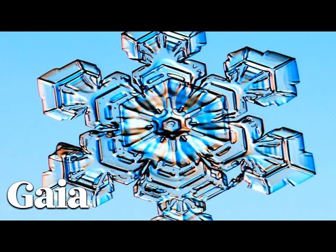 The Legal Implications of Turning Off Someone's Water Supply: Exploring the Legality and Consequences