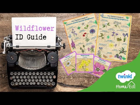 Understanding the Wildflower Law in the UK: A Comprehensive Guide