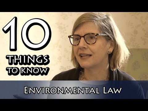 Understanding the Environmental Regulation Law in the UK: A Comprehensive Overview