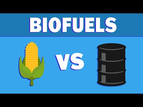 Understanding the Biofuel Act Law: A Comprehensive Guide