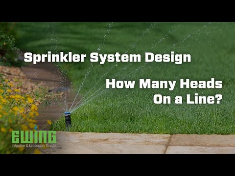 Understanding Lawn Sprinkling: A Comprehensive Guide to Proper Frequency