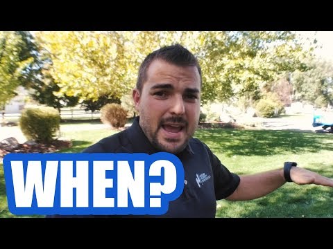 The Best Time to Avoid Mowing Your Lawn: A Comprehensive Guide