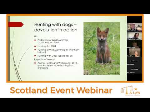 Understanding the Legislation for Farm Animals in the UK: A Comprehensive Guide