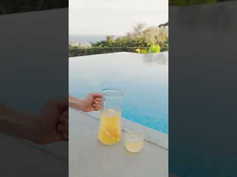 The Legalities of Lemonade Stands: Understanding Their Legality and Potential Restrictions