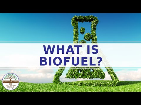 Understanding the Legality of Biofuel: What You Need to Know