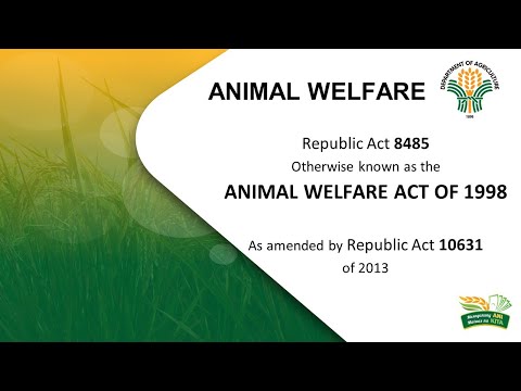 Understanding Section 62 of the Animal Welfare Act: A Comprehensive Guide