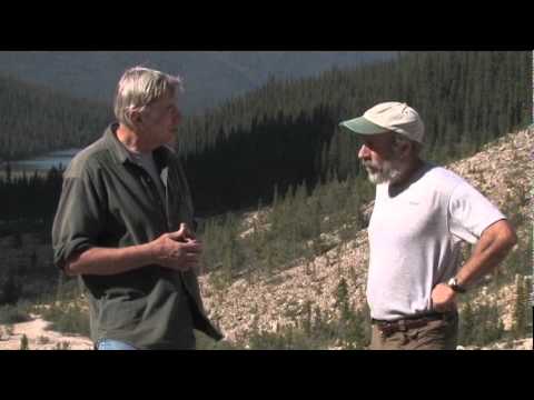 Understanding the Five Key Factors Influencing Soil Formation