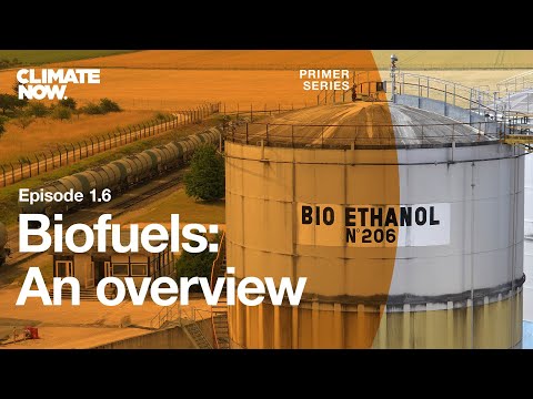 Understanding the EU Legislation for Biofuels: A Comprehensive Overview