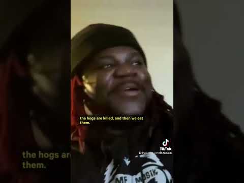 Is Garbage Feeding Legal in the UK: A Comprehensive Analysis