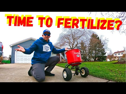 The Best Time to Fertilize Your Lawn: A Comprehensive Guide
