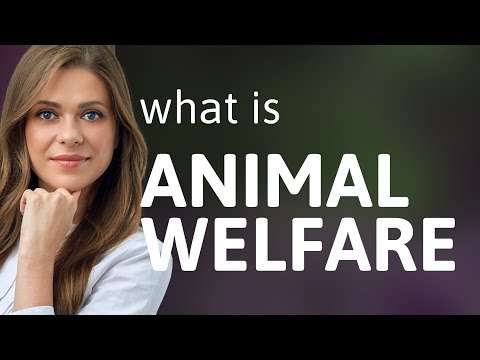 Understanding the Farm Animals Welfare Act: A Comprehensive Guide