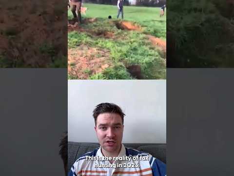 The Legality of Shooting Foxes in Your Garden in the UK: A Detailed Analysis of Applicable Laws