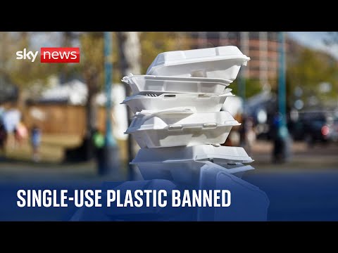 Understanding the Legality of Single-Use Plastic in the UK
