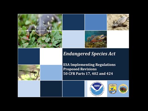 Understanding Regulation 43 of the Habitats Regulations: A Comprehensive Overview