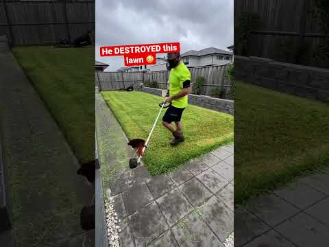 Understanding the Legality of Cutting Grass on Sunday in Germany