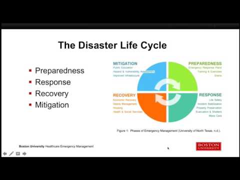 Understanding the Key Components of an Effective Emergency Action Plan