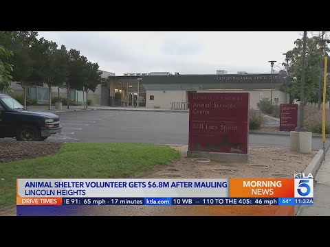 Understanding Los Angeles County Ordinance 10.32 010: A Comprehensive Guide