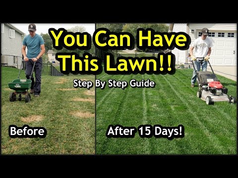 Preparing Your Lawn: A Step-by-Step Guide