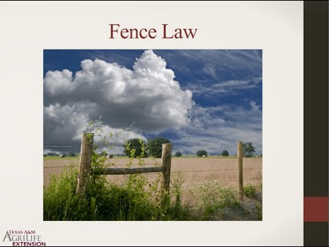 Understanding the Law Regarding Boundary Fences: A Comprehensive Guide