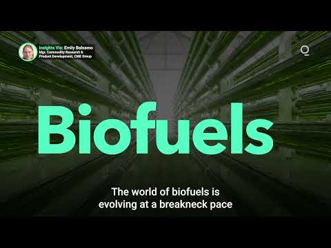 Understanding the Biofuel Policy in the UK: A Comprehensive Overview