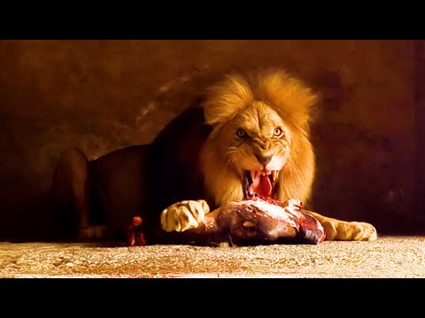 Is Feeding Wild Animals Illegal in the UK? Understanding the Laws and Regulations