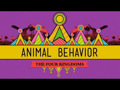 Understanding Animal Behavior: Best Practices for Interacting with Farm Animals