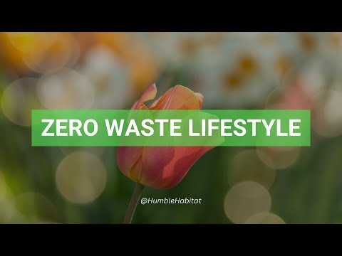 Mastering the Art of Zero-Waste Living: A Comprehensive Guide