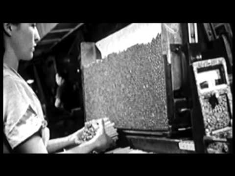 The Evolution of Smoking Laws in the UK: A Historical Overview