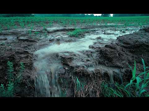 Understanding the Importance of the Environment Act for Water Quality