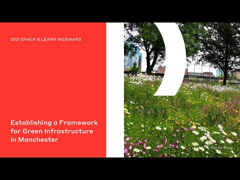 Understanding the Green Infrastructure Policy in the UK: A Comprehensive Overview