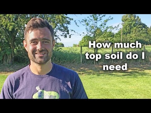 The Ideal Depth of Topsoil for a Healthy Lawn: A Comprehensive Guide