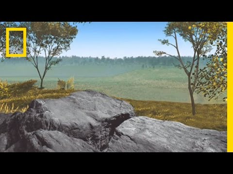 The Evolution of Zoning: How its Introduction Transformed New York City's Landscape Forever