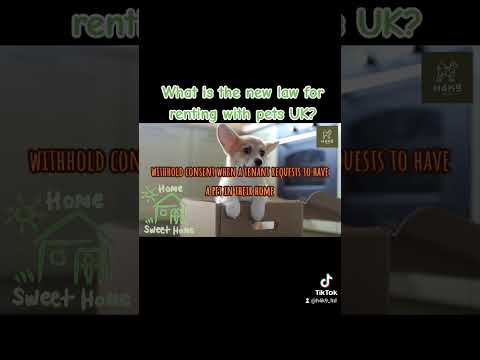 Understanding the New Law for Renting with Pets in the UK