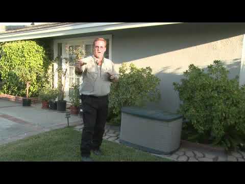 Understanding Your Rights: Can You Legally Prevent Cats from Entering Your Garden?