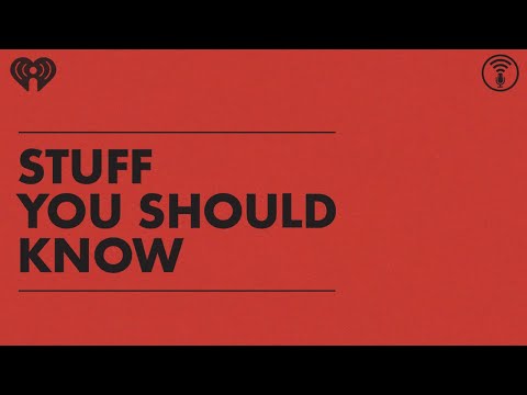 Understanding the 'Finders Keepers' Law in the UK: An Informative Guide