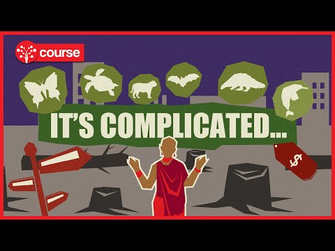 Understanding Biodiversity Legislation in the UK: A Comprehensive Guide