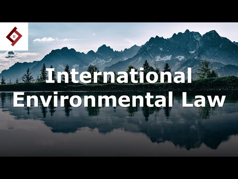 Understanding Environmental Law for Pollution in the UK: A Comprehensive Guide