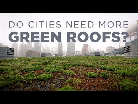 Understanding Local Law 92: A Comprehensive Guide to Green Roofing Requirements