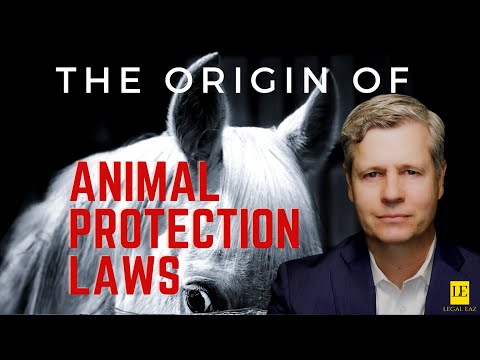 Understanding the Legal Framework for the Protection of Farm Animals in the United States
