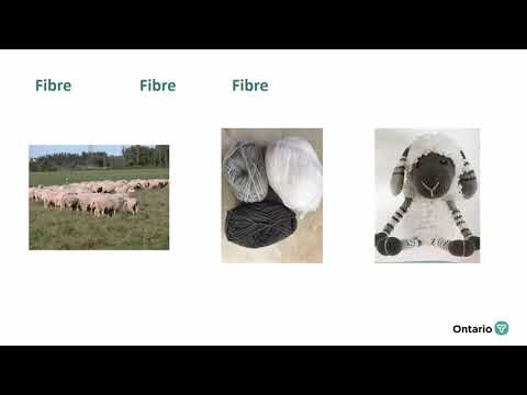 Understanding Feed Regulation: An In-depth Analysis of its Purpose and Impact