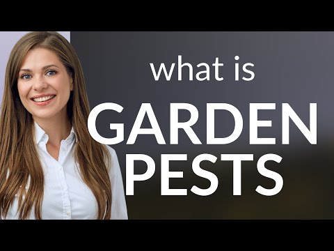 Understanding the Legality of Fires in Your Garden: A Comprehensive Guide