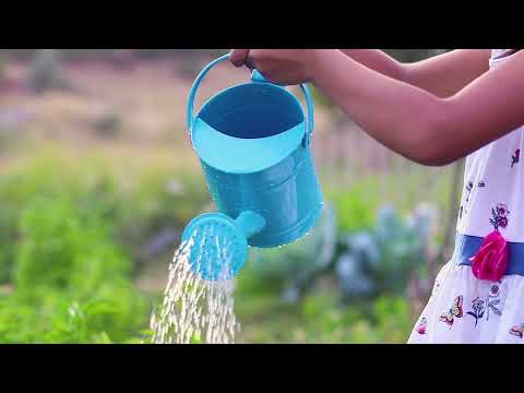 Understanding the Government Policy for Water Conservation in Germany