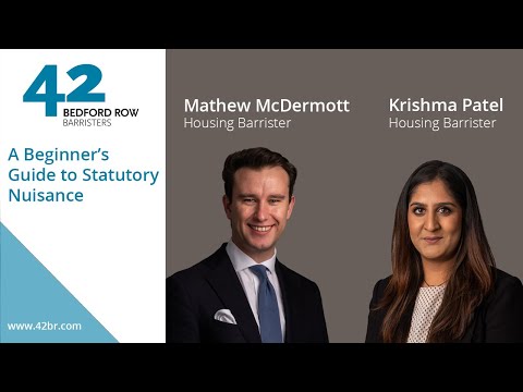 Understanding Statutory Nuisance Laws: Does Smoke Fall within Their Scope?