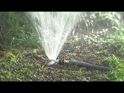 Understanding the Watering Schedule for a New Lawn: How Many Weeks Does It Take?