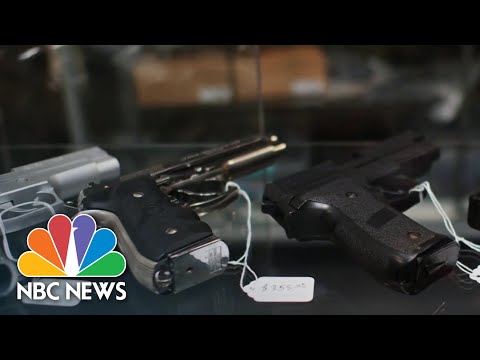 What Determines the Safety of Gun Laws in Different States?