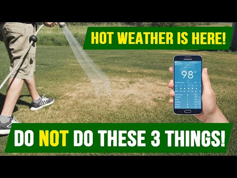 The Ultimate Guide: Lawn Watering in Hot Weather - What You Need to Know