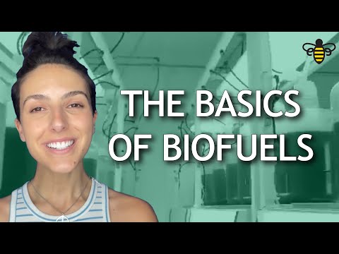 The Biofuel Act: Understanding the Signatory Authority